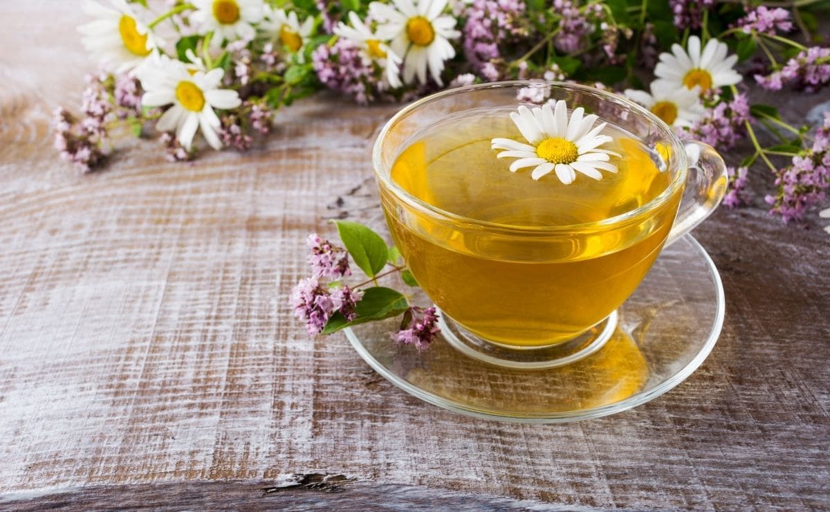 Té de manzanilla: esta infusión puede ser el secreto para vivir más