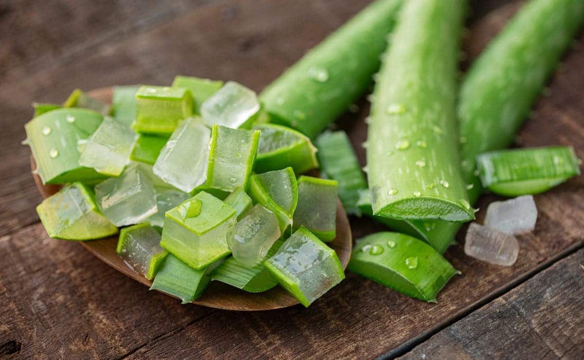 Mascarilla de aloe vera y aceite de coco