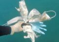 Mascarillas y guantes en el mar Mediterráneo