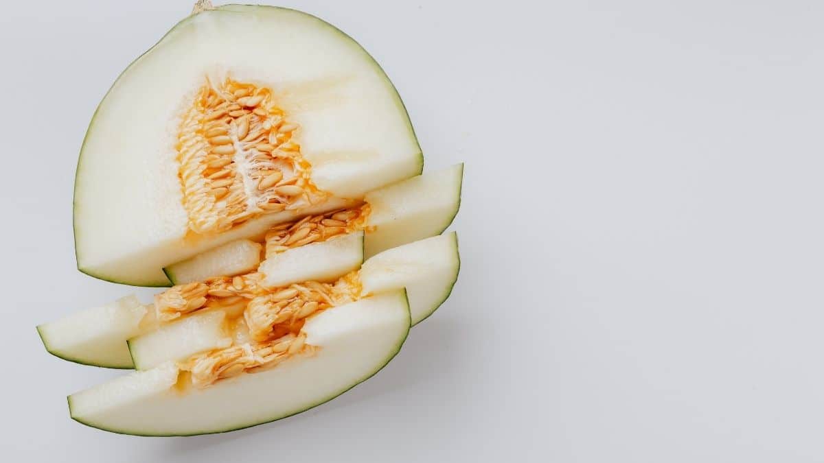 Las pipas del melón, un superalimento que jamás debes desperdiciar