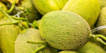 melón cáscara fruta piel caducar estado comer alimento dieta azúcar