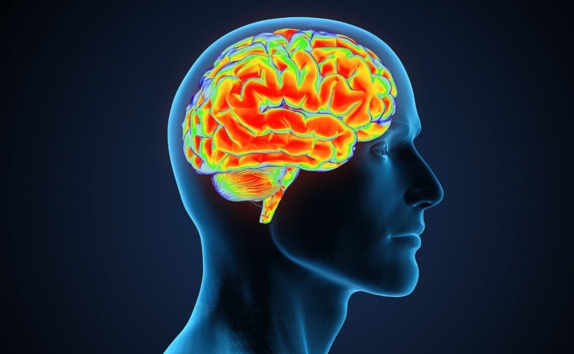 Capacidad de la memoria