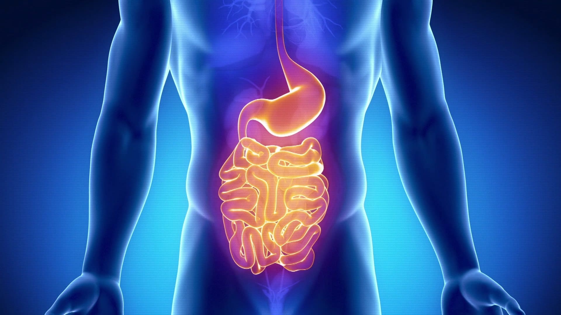 Así ayudan los probióticos a cuidar la microbiota intestinal