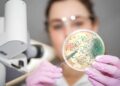 Así ayudan los probióticos a cuidar la microbiota intestinal