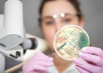 Así ayudan los probióticos a cuidar la microbiota intestinal