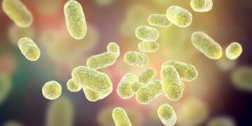 Así es la microbiota intestinal de los niños con autismo