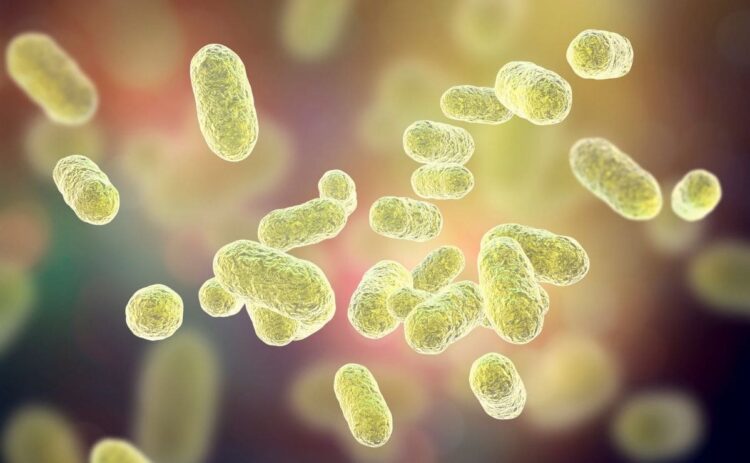 Así es la microbiota intestinal de los niños con autismo