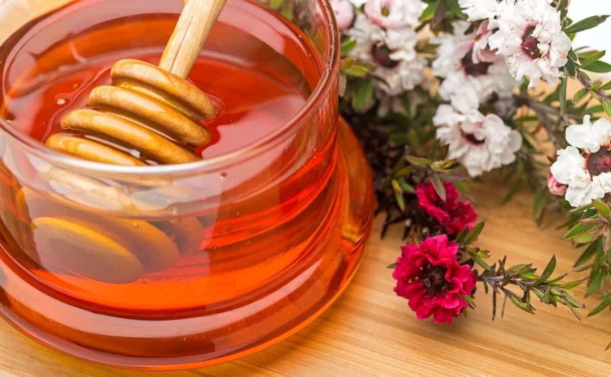La miel de manuka ayuda a aliviar las úlceras y la acidez estomacal
