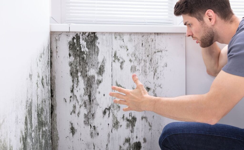 Cómo eliminar la humedad de la pared antes de pintar
