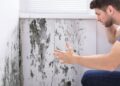 Cómo eliminar la humedad de la pared antes de pintar