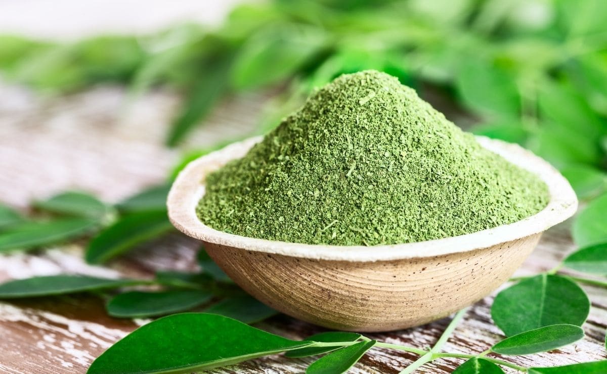 Moringa