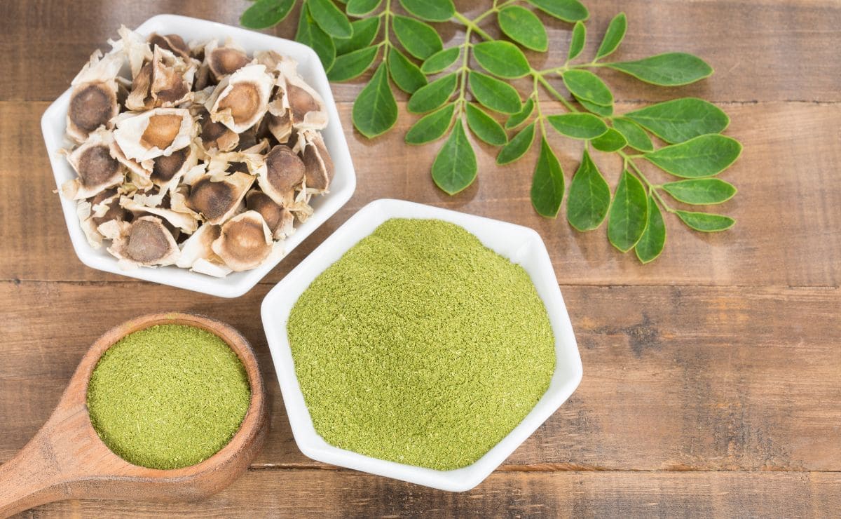 Moringa para bajar de peso