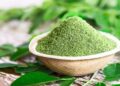 Moringa para bajar de peso