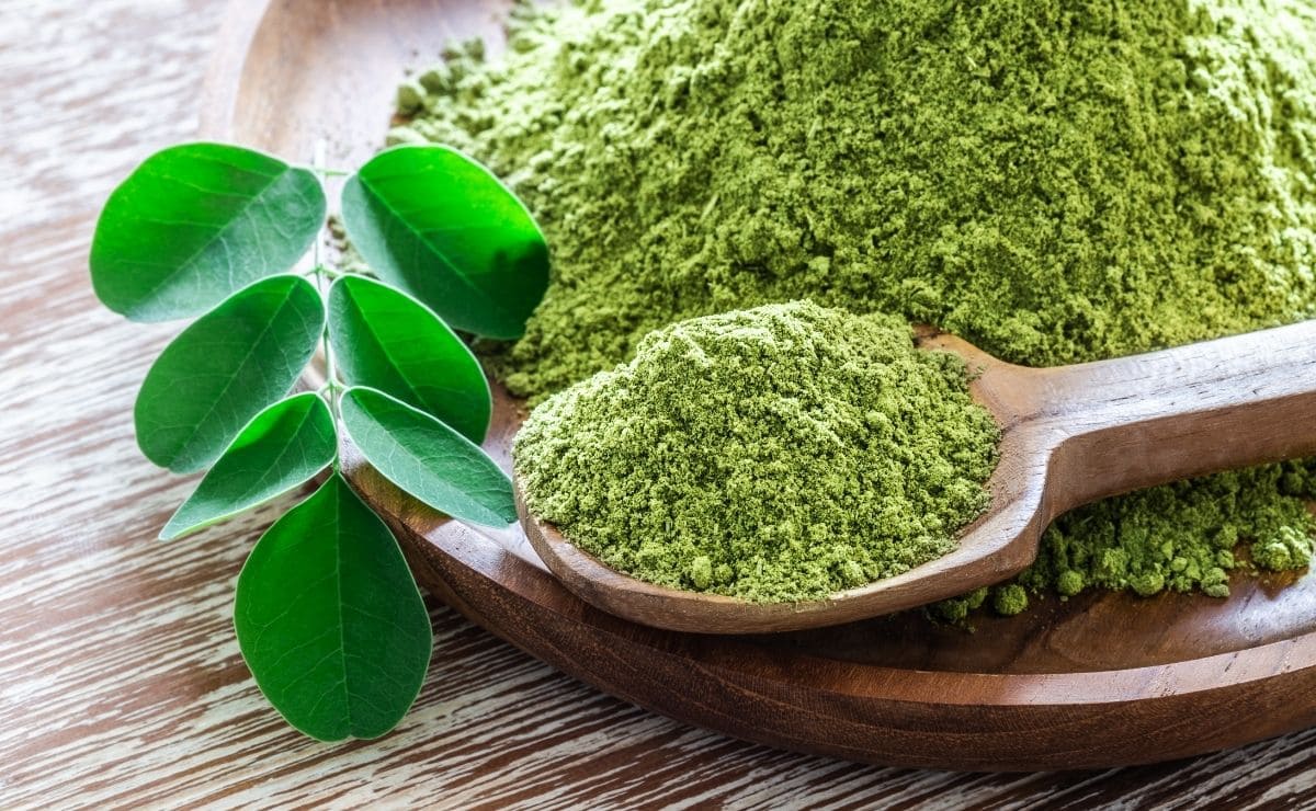 moringa suplemento medicinal natural remedio casero alimento superalimento