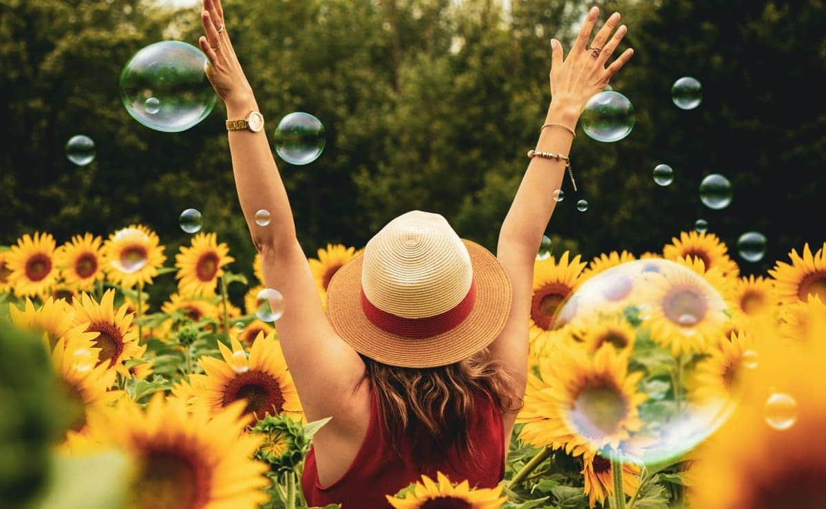 mujer en cultivo de girasoles para la dieta