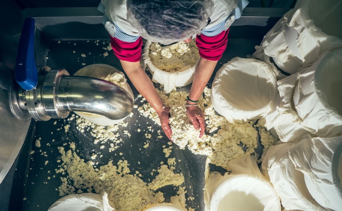 mujer produciendo quesos para la dieta humana
