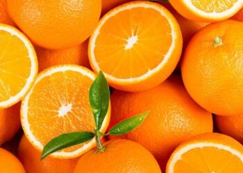 naranja citricos
