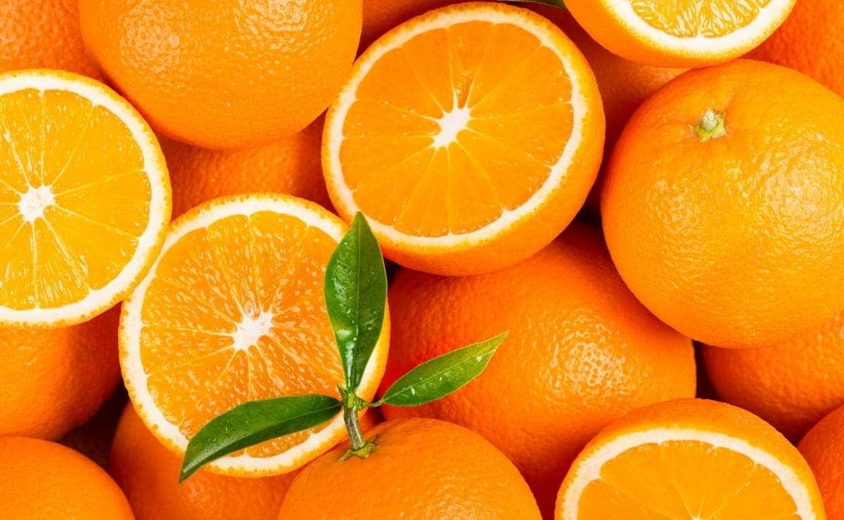 naranja citricos