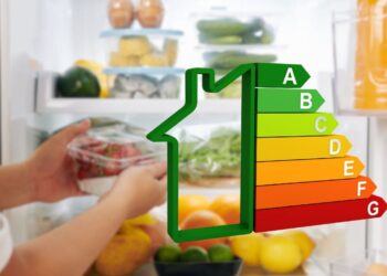 Cómo ahorrar con el uso eficiente de tu frigorífico, según la OCU