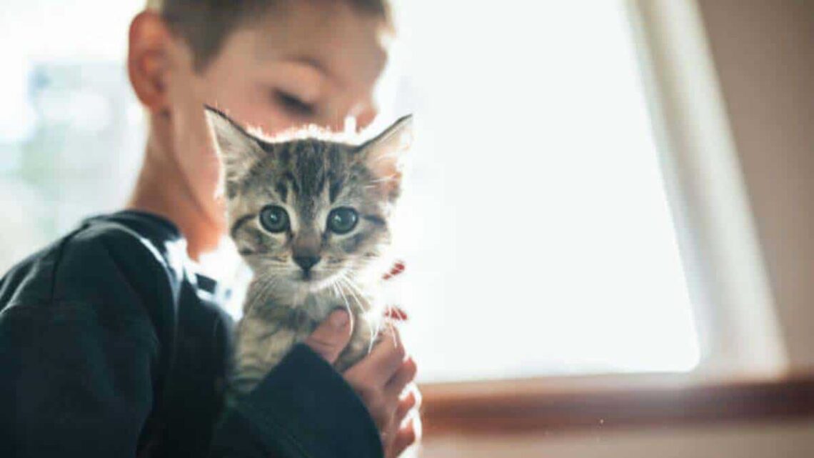 Niño con autismo junto a un gato