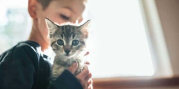 Niño con autismo junto a un gato