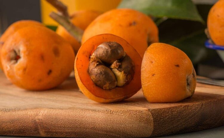 fruta níspero alimentos dieta azúcar sangre salud semilla