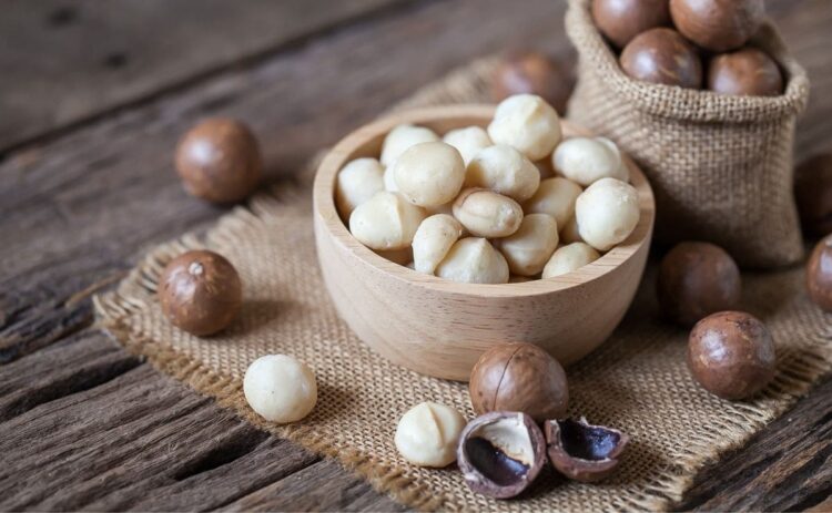 Beneficios de las nueces de macadamia para el rendimiento deportivo