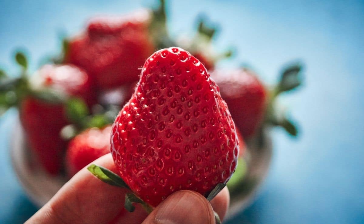 ocu beneficios fresas alimento fruta comida postre ventajas
