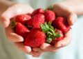 Beneficios de las fresas según la OCU