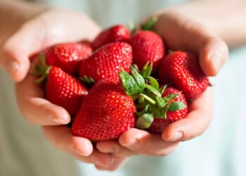 Beneficios de las fresas según la OCU