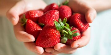 Beneficios de las fresas según la OCU