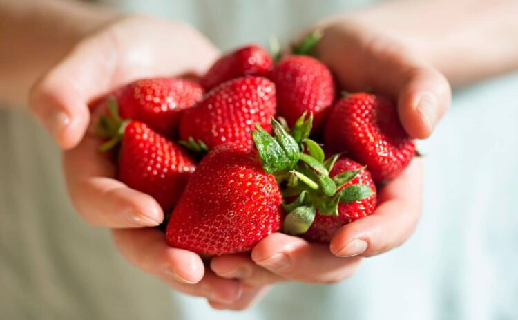 Beneficios de las fresas según la OCU