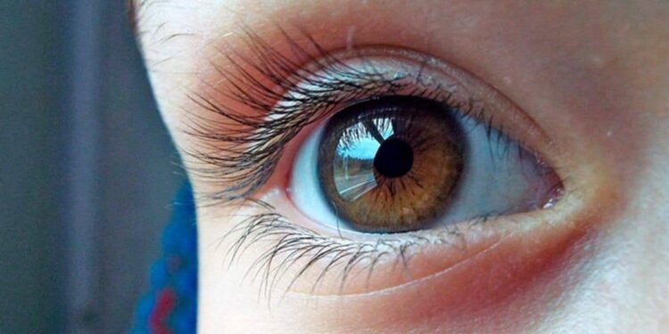 Ojos humano