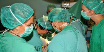 "La intervención a Andalucía pone en peligro la contratación de 1500 profesionales sanitarios"