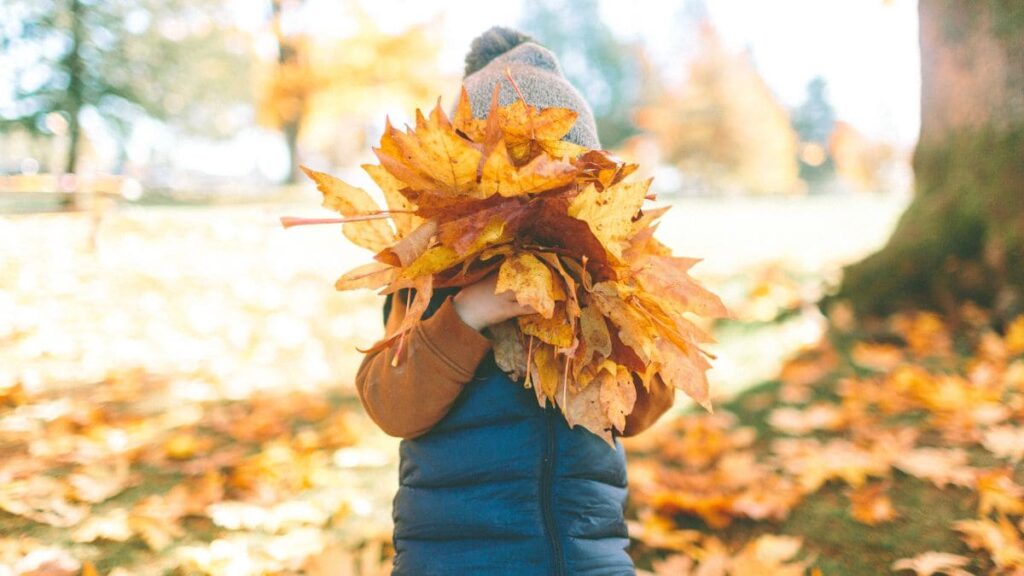 ¿A qué hora entra el otoño en España en 2023? Fecha y hora del equinoccio