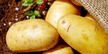Este es el valor nutricional de las patatas para la dieta