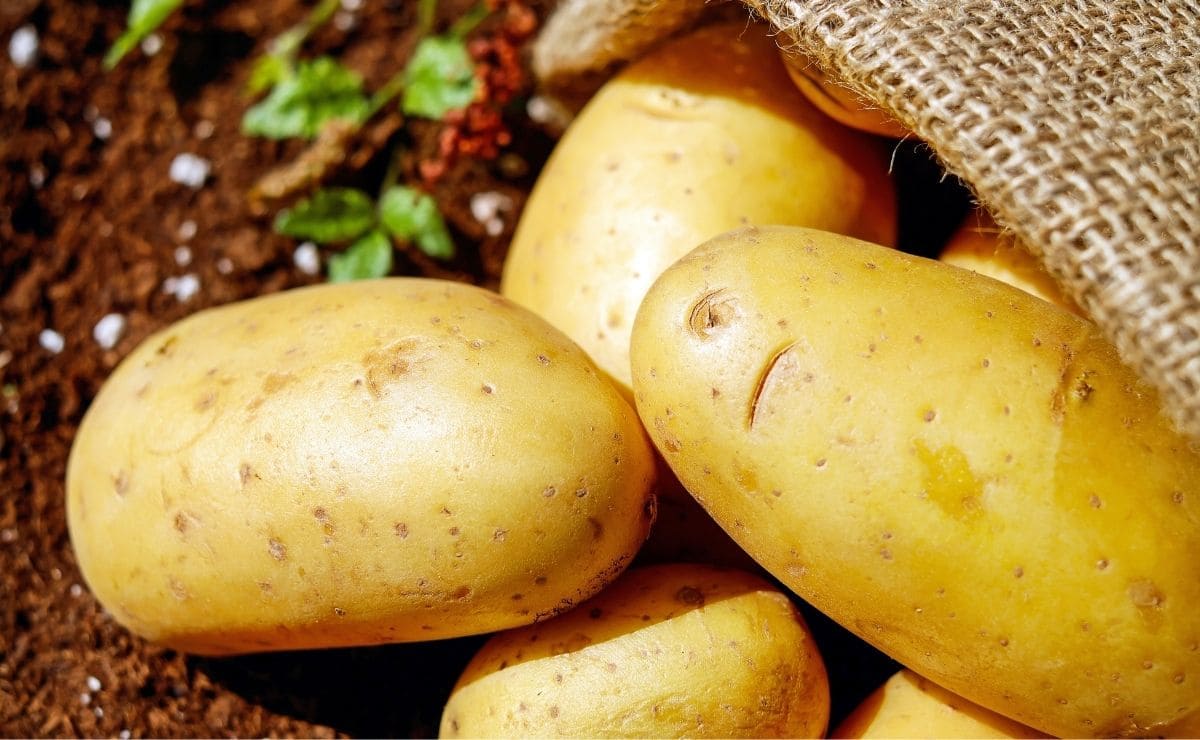 Este es el valor nutricional de las patatas para la dieta