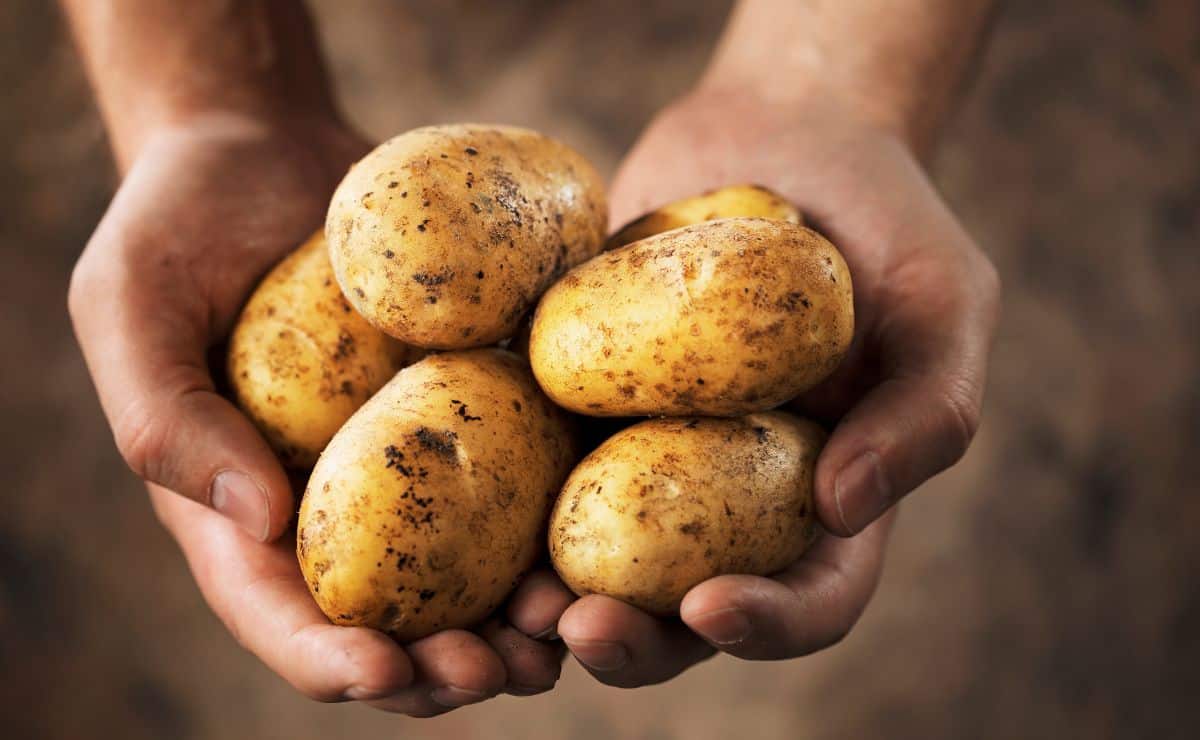 Agua de cáscara de patatas para combatir las canas