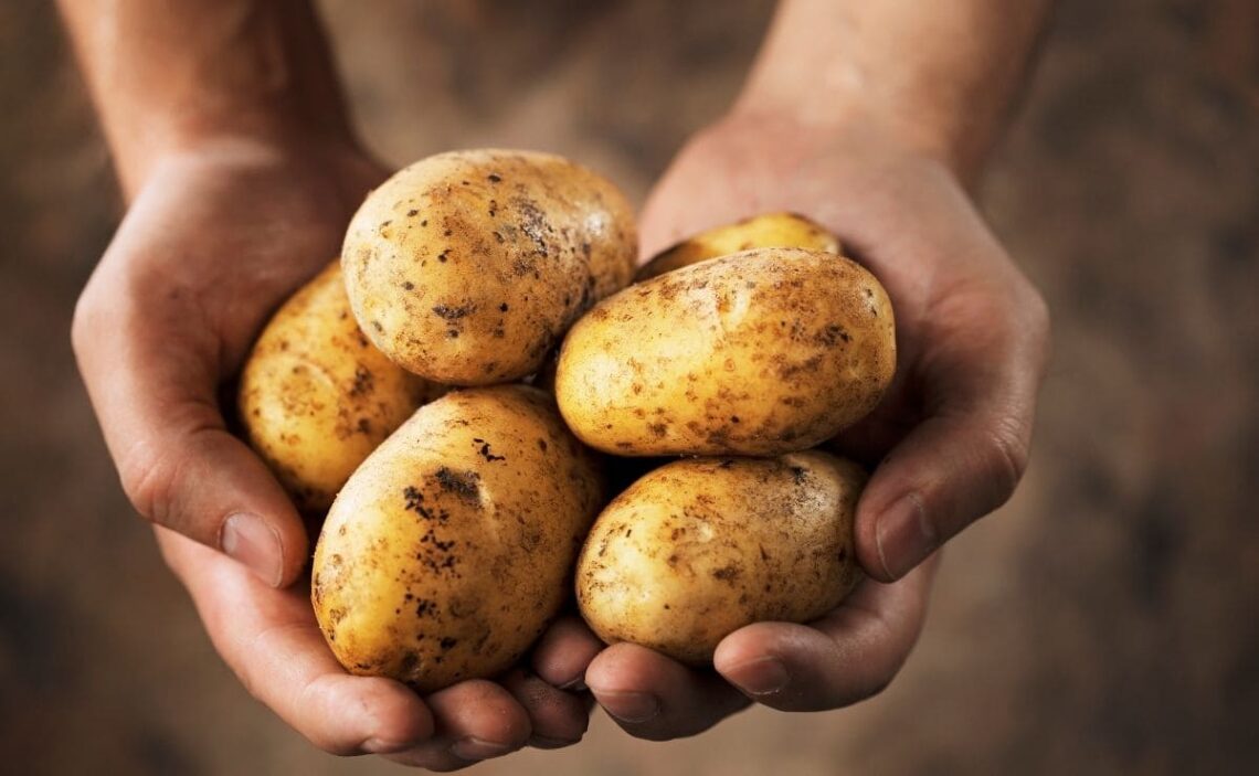 Este es el valor nutricional de las patatas para la dieta