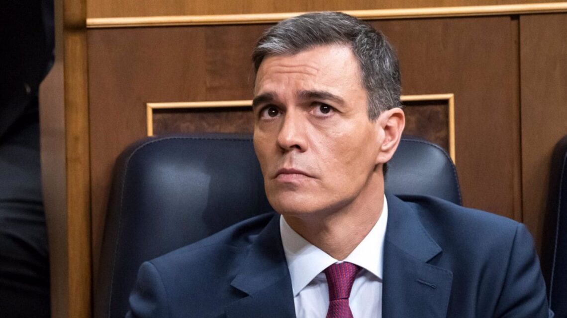 Loles López, consejera de la Junta de Andalucía, carga contra Pedro Sánchez y su gestión de la dependencia