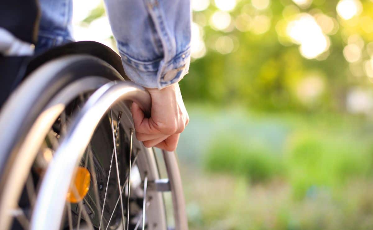 pensión no contributiva invalidez físico imserso seguridad social ayuda