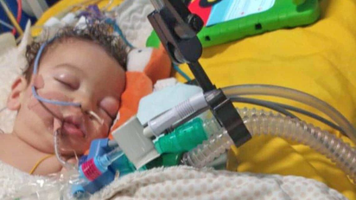 El pequeño Satur necesita ayuda