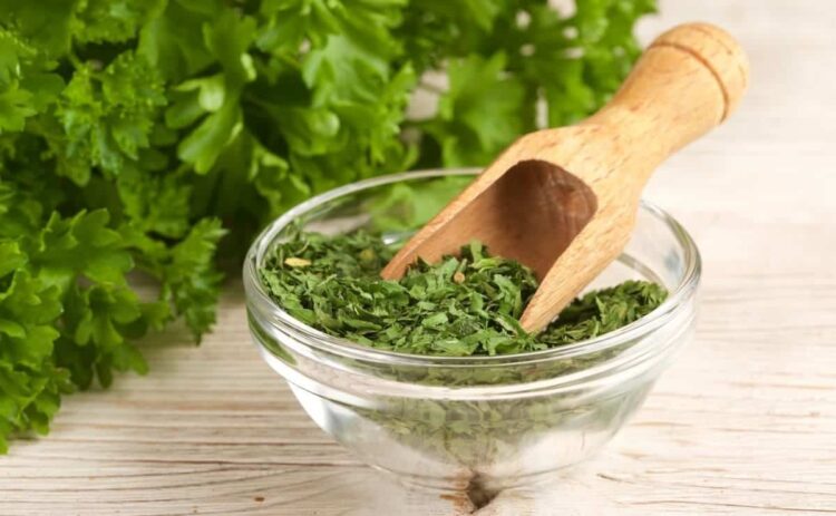 El perejil es un alimento saludable perfecto para la salud de los riñones
