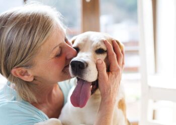 En el Día Mundial del Alzheimer se pone en evidencia de la importancia de los animales para los pacientes