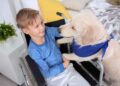 Perro de asistencia junto a su dueño con discapacidad