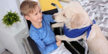 Perro de asistencia junto a su dueño con discapacidad