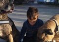 Joan, niño con autismo, junto a perros de asistencia