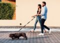 perro mascota pasear caminar dueño familia hogar