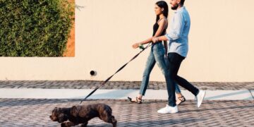 perro mascota pasear caminar dueño familia hogar