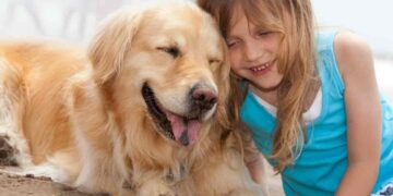 Las 5 mejores razas de perros para niños con autismo